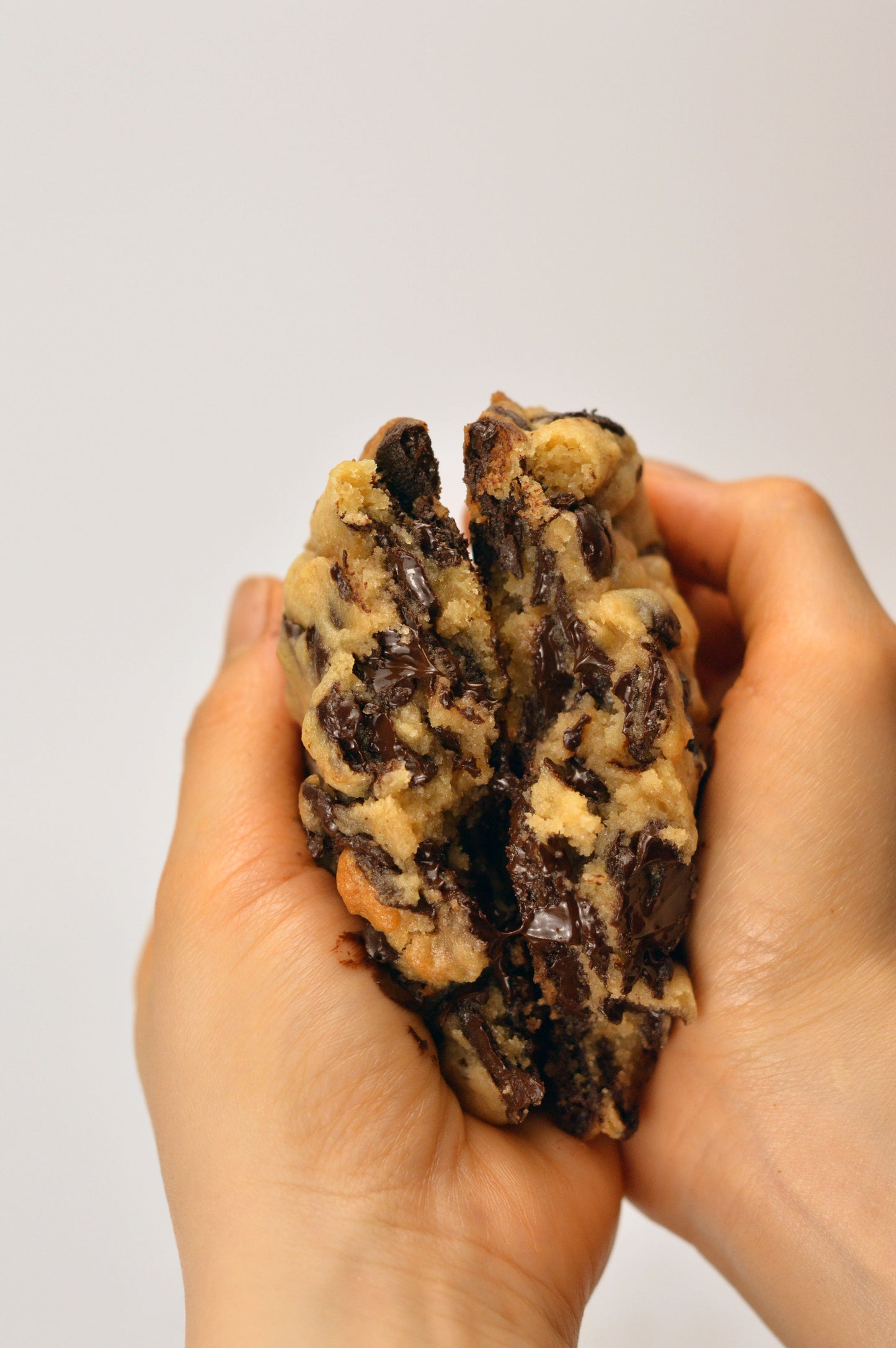 Classic Chocolate Chip